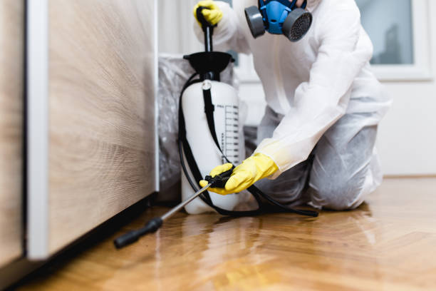 Best Affordable Pest Control Services  in Archbald, PA