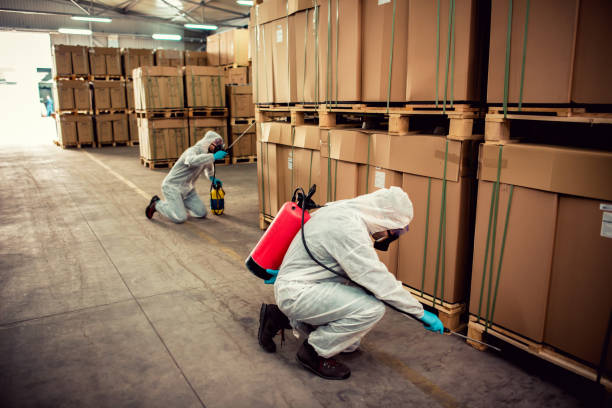 Pest Control Cost in Archbald, PA
