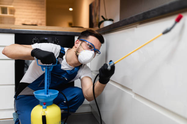 Professional Pest Control in Archbald, PA