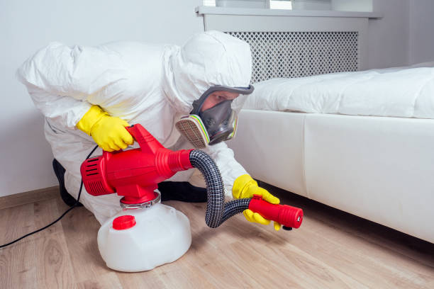 Best Emergency Pest Control  in Archbald, PA