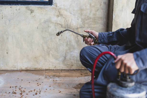 Best Mosquito Control Services  in Archbald, PA